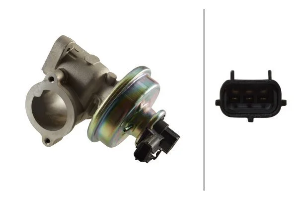 EGR Valve HELLA 6NU 010 171-041