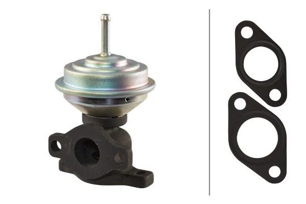EGR Valve HELLA 6NU 010 171-411