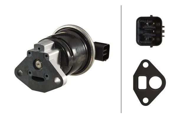 EGR Valve HELLA 6NU 010 171-491