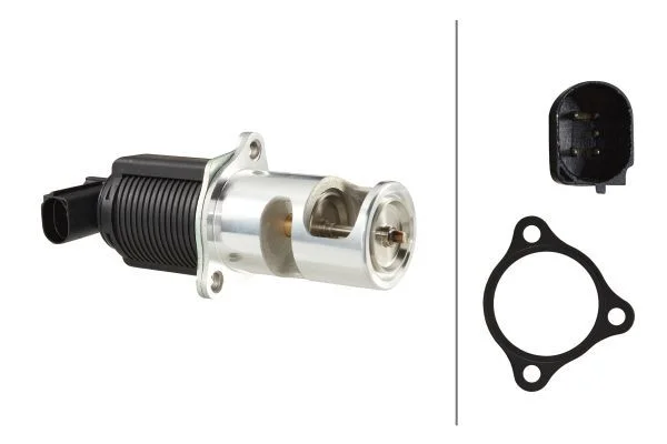 EGR Valve HELLA 6NU 010 171-521