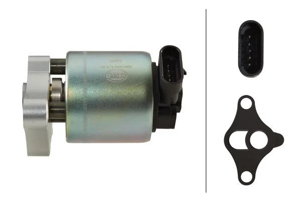 EGR Valve HELLA 6NU 010 171-611