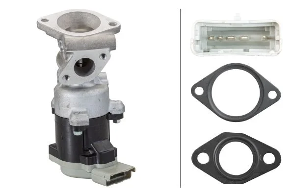 EGR Valve HELLA 6NU 010 171-771