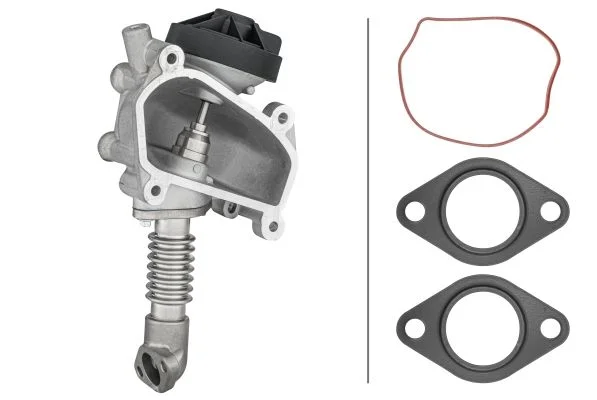 EGR Valve HELLA 6NU 014 864-641