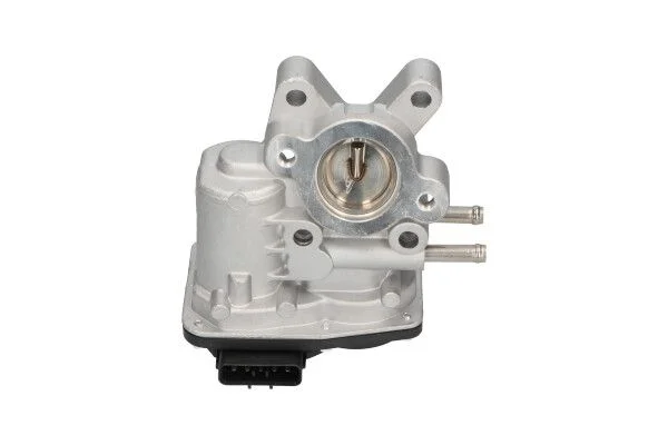 EGR Valve Kavo Parts EEG-6503