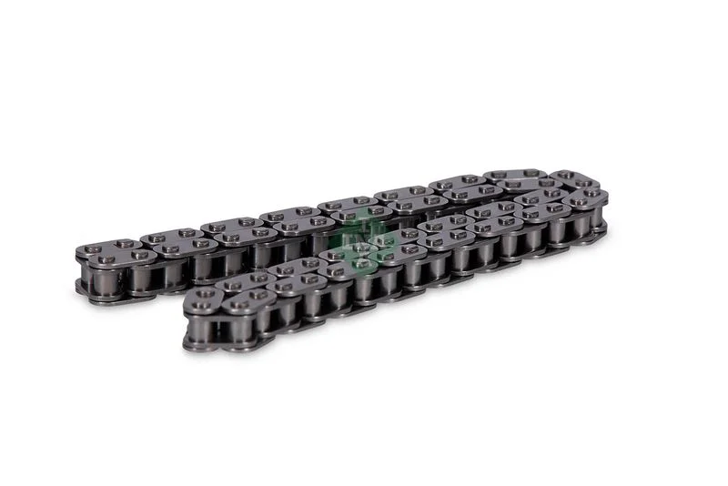 Timing Chain INA 553 0173 10
