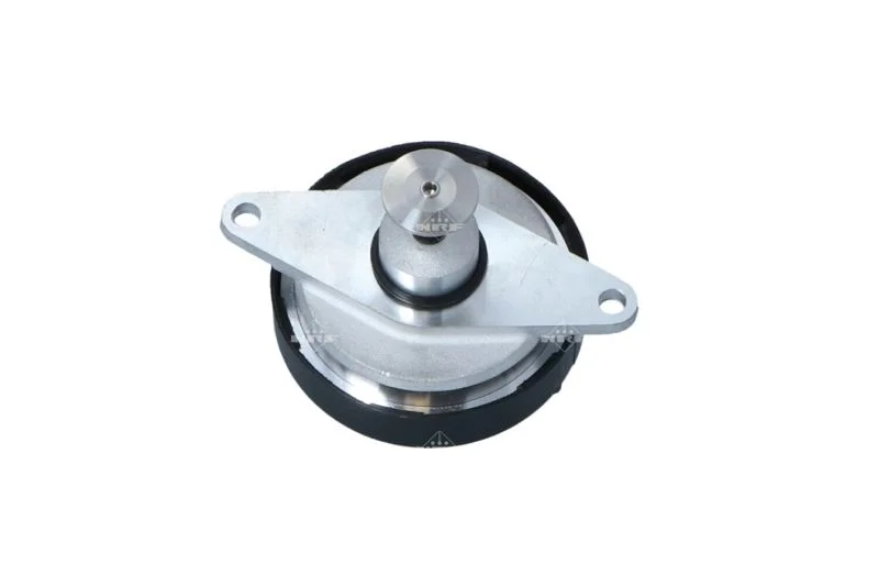 Ventil EGR NRF 48399