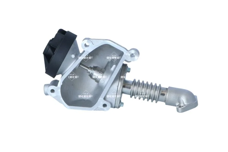 Ventil EGR NRF 48635