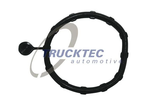 Tesnilo, komorni prostor TRUCKTEC AUTOMOTIVE 02.19.346
