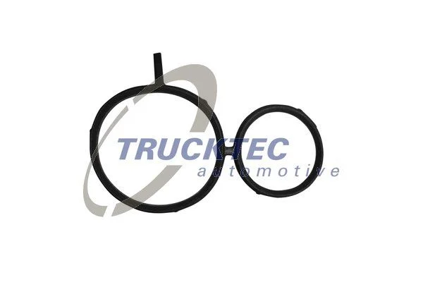 Gasket, timing case TRUCKTEC AUTOMOTIVE 08.10.059
