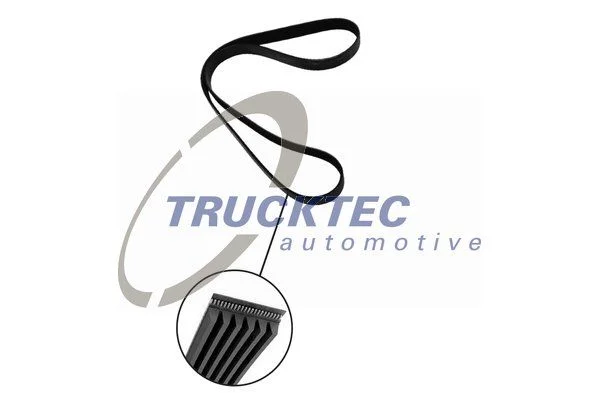 V-rebrasti pas TRUCKTEC AUTOMOTIVE 08.19.082