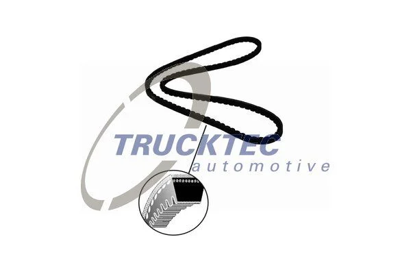 V-Belt TRUCKTEC AUTOMOTIVE 14.19.033