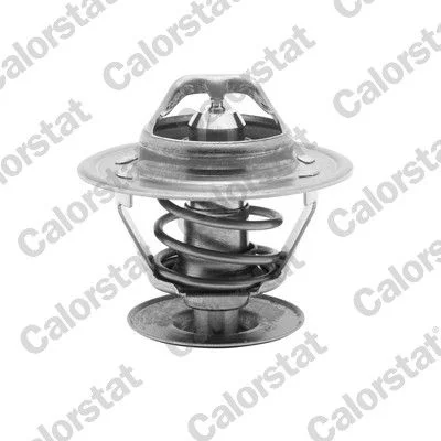 Thermostat, coolant CALORSTAT by Vernet TH4561.87J