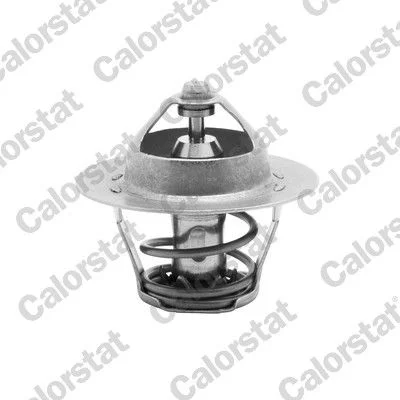 Thermostat, coolant CALORSTAT by Vernet TH5075.82J