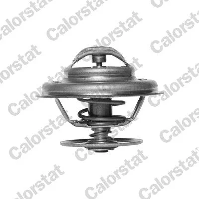 Thermostat, coolant CALORSTAT by Vernet TH5963.80J