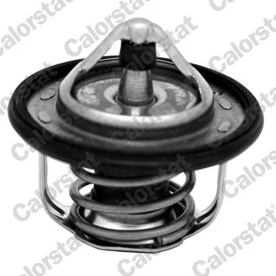 Thermostat, coolant CALORSTAT by Vernet TH7300.95J