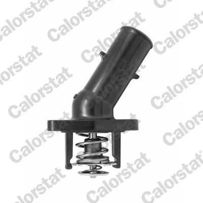 Thermostat, coolant CALORSTAT by Vernet TH7314.82J
