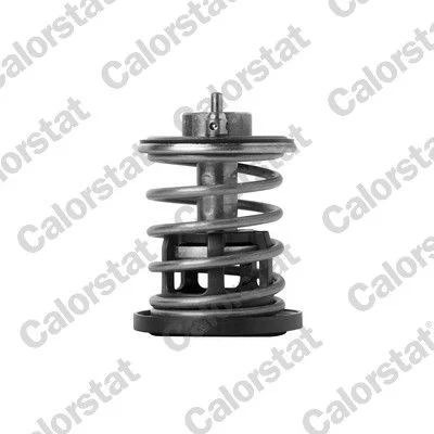 Thermostat, coolant CALORSTAT by Vernet TH7382.88