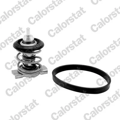 Thermostat, coolant CALORSTAT by Vernet TH9241.88J