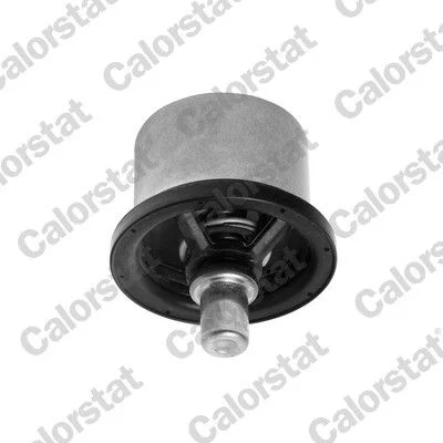 Thermostat, coolant CALORSTAT by Vernet THS16957.82