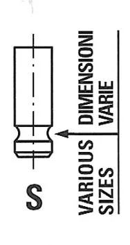 Intake Valve FRECCIA R7052/SARNT