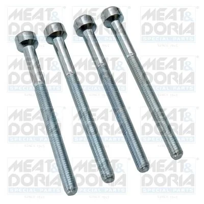 Vijak, držalo injekcijske šobe MEAT & DORIA 98508