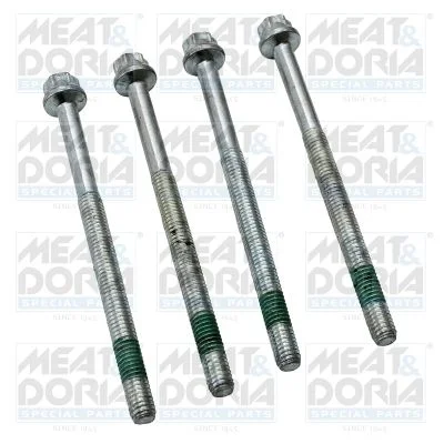 Vijak, držalo injekcijske šobe MEAT & DORIA 98509