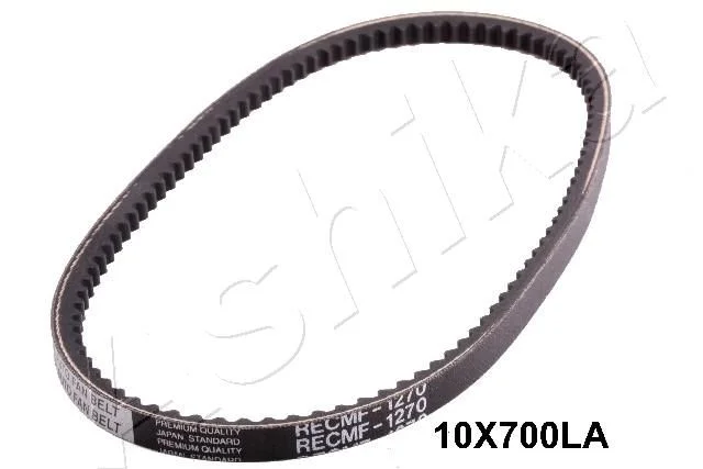 Jermenski jermen ASHIKA 109-10X700LA
