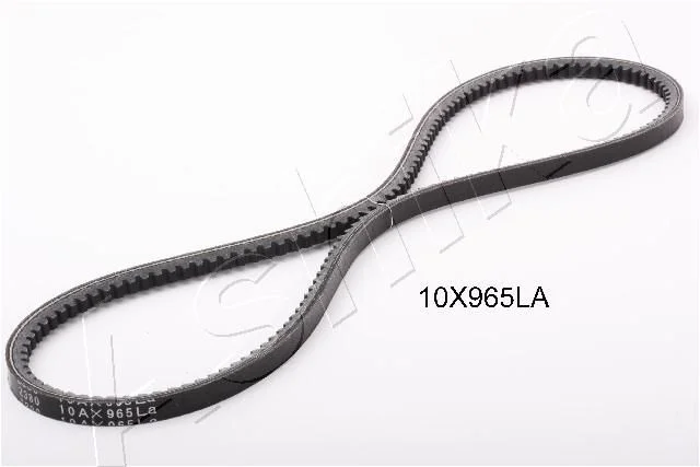 Jermenski jermen ASHIKA 109-10X965