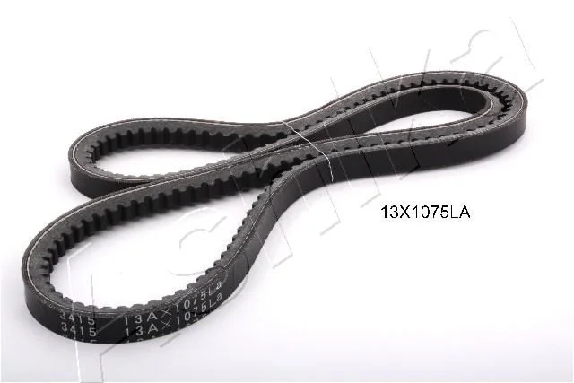 Jermenski jermen ASHIKA 109-13X1075