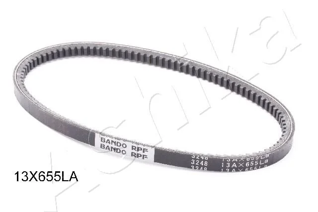 Jermenski jermen ASHIKA 109-13X655