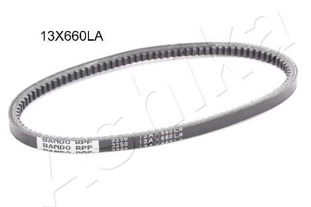 Jermenski jermen ASHIKA 109-13X660