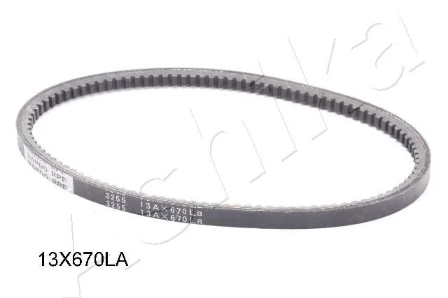 Jermenski jermen ASHIKA 109-13X670