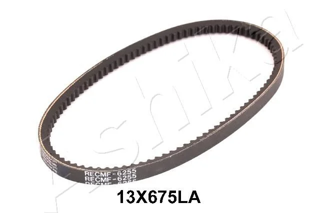Jermenski jermen ASHIKA 109-13X675LA