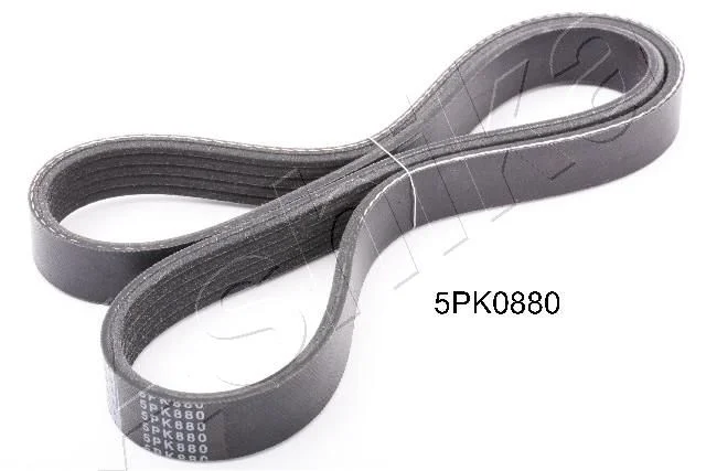 V-rebrasti pas ASHIKA 112-5PK880