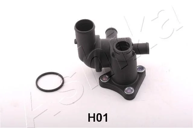 Coolant Flange ASHIKA 125-0H-H01