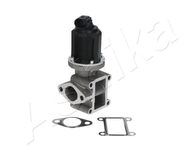 EGR Valve ASHIKA 150-00-0202
