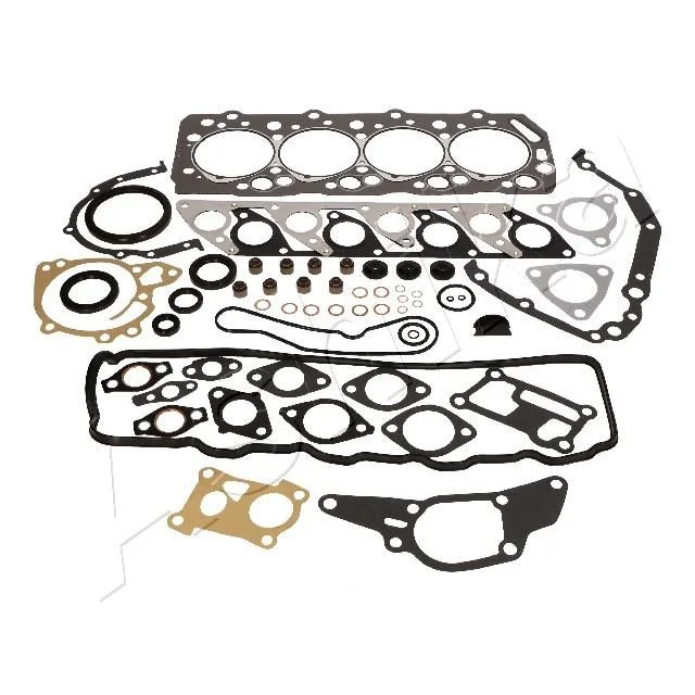 Celoten komplet tesnil, motor ASHIKA 49-05-538