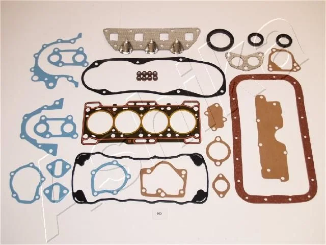 Celoten komplet tesnil, motor ASHIKA 49-08-803