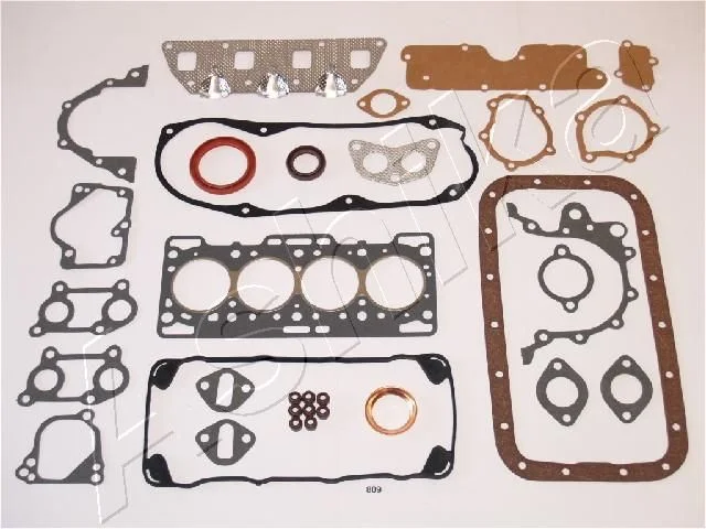Celoten komplet tesnil, motor ASHIKA 49-08-809