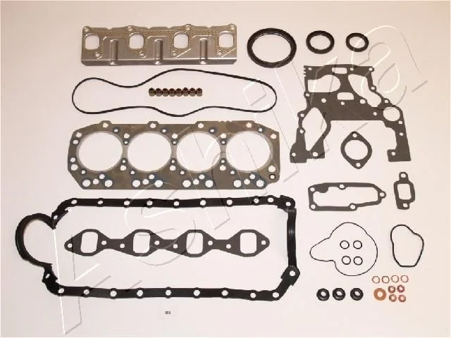 Celoten komplet tesnil, motor ASHIKA 49-09-996