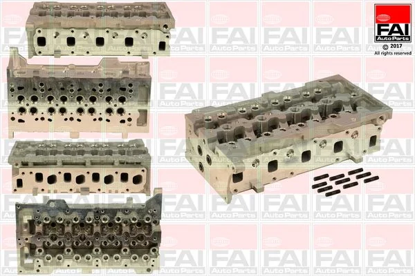 Glava cilindra FAI AutoParts BCH011