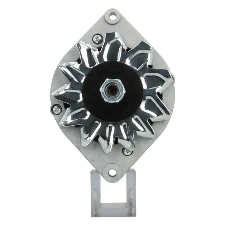 Alternator BV PSH 135.008.065.010