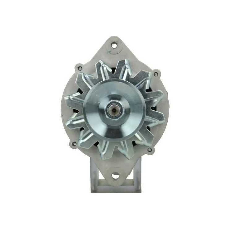 Alternator BV PSH 135.807.070.080