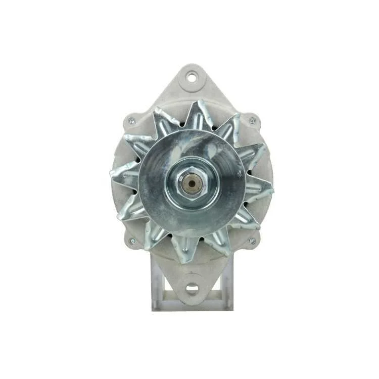 Alternator BV PSH 135.810.070.080