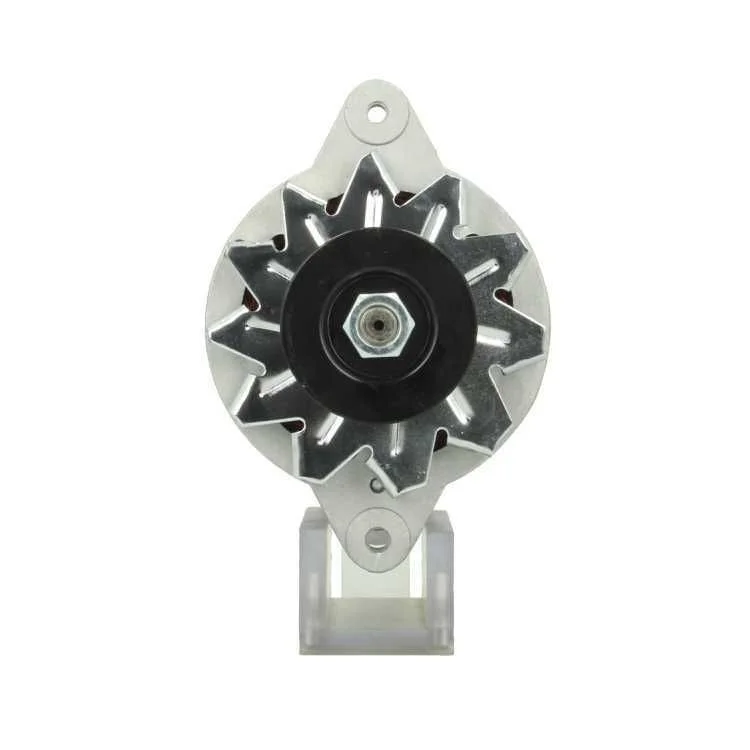 Alternator BV PSH 165.003.035.080