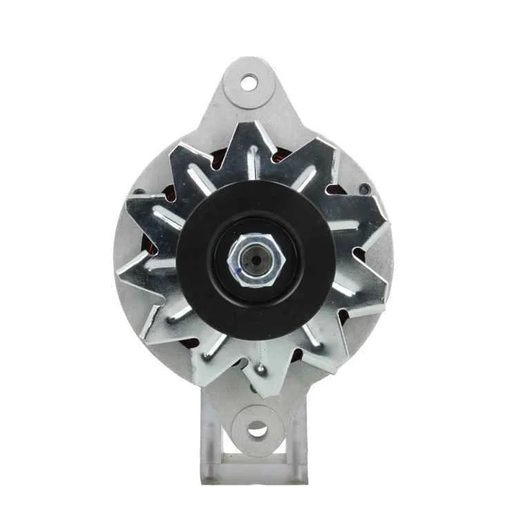 Alternator BV PSH 165.003.050.080