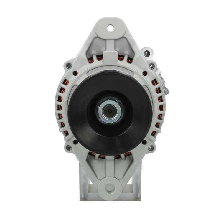 Alternator BV PSH 165.011.060.080