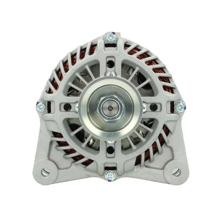 Alternator BV PSH 165.516.110.130