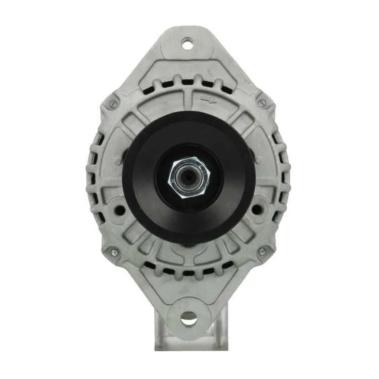 Alternator BV PSH 165.573.070.010