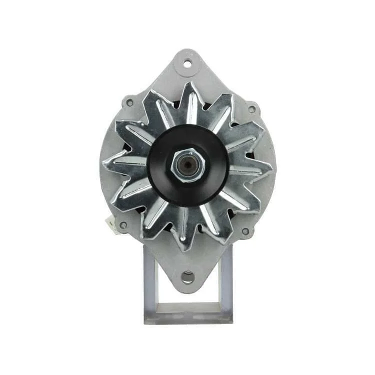 Alternator BV PSH 165.805.040.080